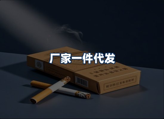 专业团队办公环境